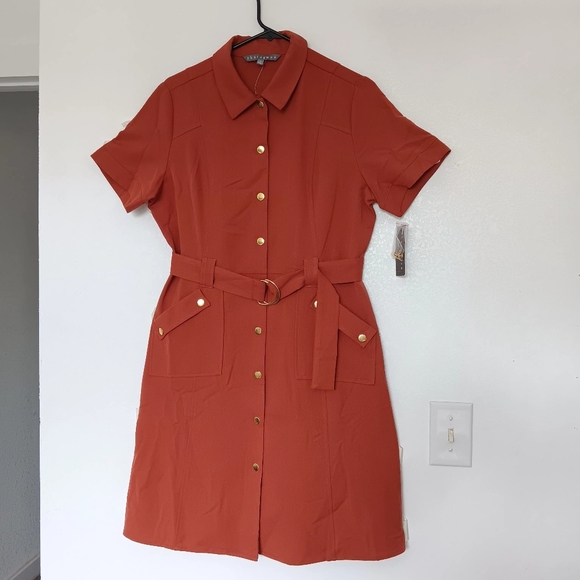 Sharagano Lepore shirt dress, size 10, snap buttons, short sleeves. - Picture 2 of 16